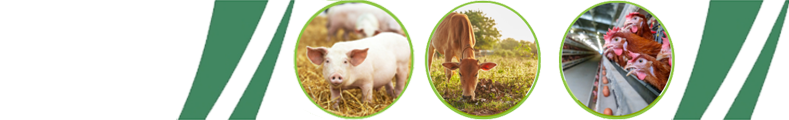 PHÂN VIỆN CHĂN NUÔI VÀ THÚ Y NAM BỘ IASVN