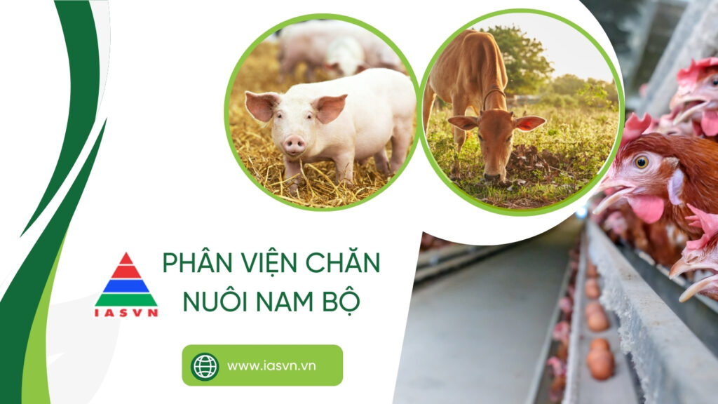 PHÂN VIỆN CHĂN NUÔI VÀ THÚ Y NAM BỘ IASVN