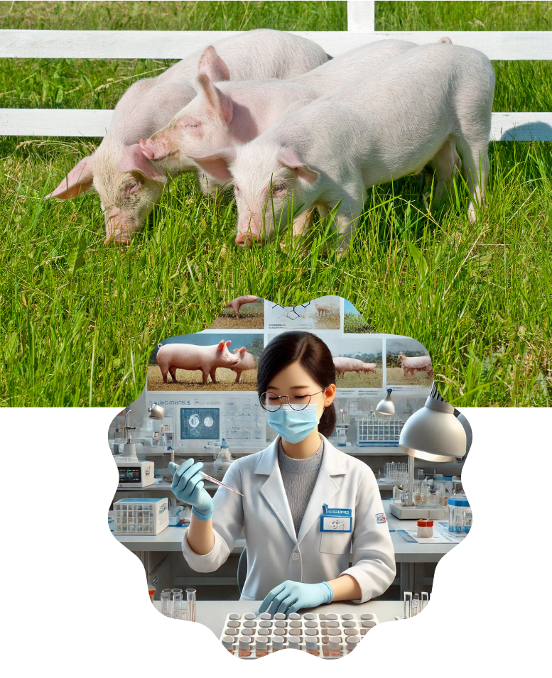 PHÂN VIỆN CHĂN NUÔI VÀ THÚ Y NAM BỘ IASVN