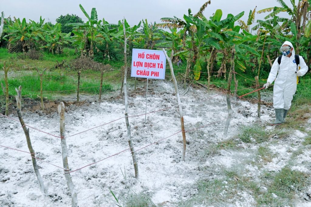 PHÂN VIỆN CHĂN NUÔI VÀ THÚ Y NAM BỘ IASVN