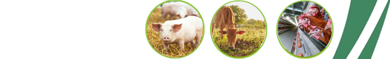 PHÂN VIỆN CHĂN NUÔI VÀ THÚ Y NAM BỘ IASVN