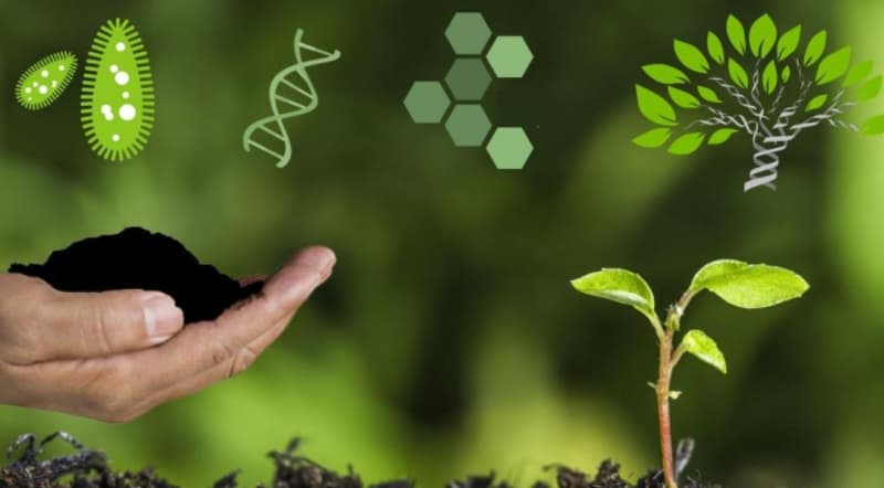PHÂN VIỆN CHĂN NUÔI VÀ THÚ Y NAM BỘ IASVN