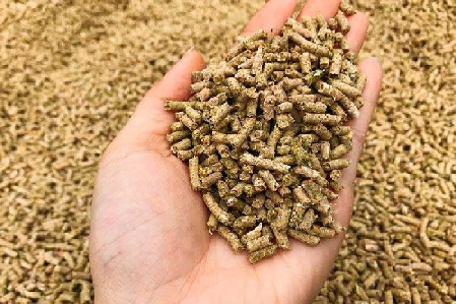PHÂN VIỆN CHĂN NUÔI VÀ THÚ Y NAM BỘ IASVN