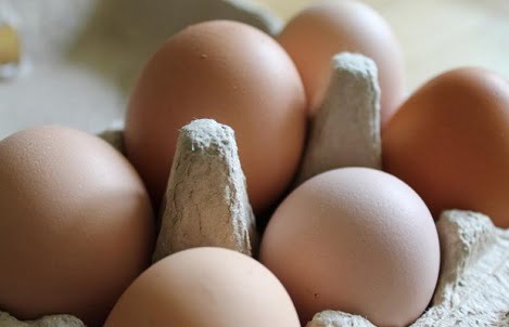 PHÂN VIỆN CHĂN NUÔI VÀ THÚ Y NAM BỘ IASVN