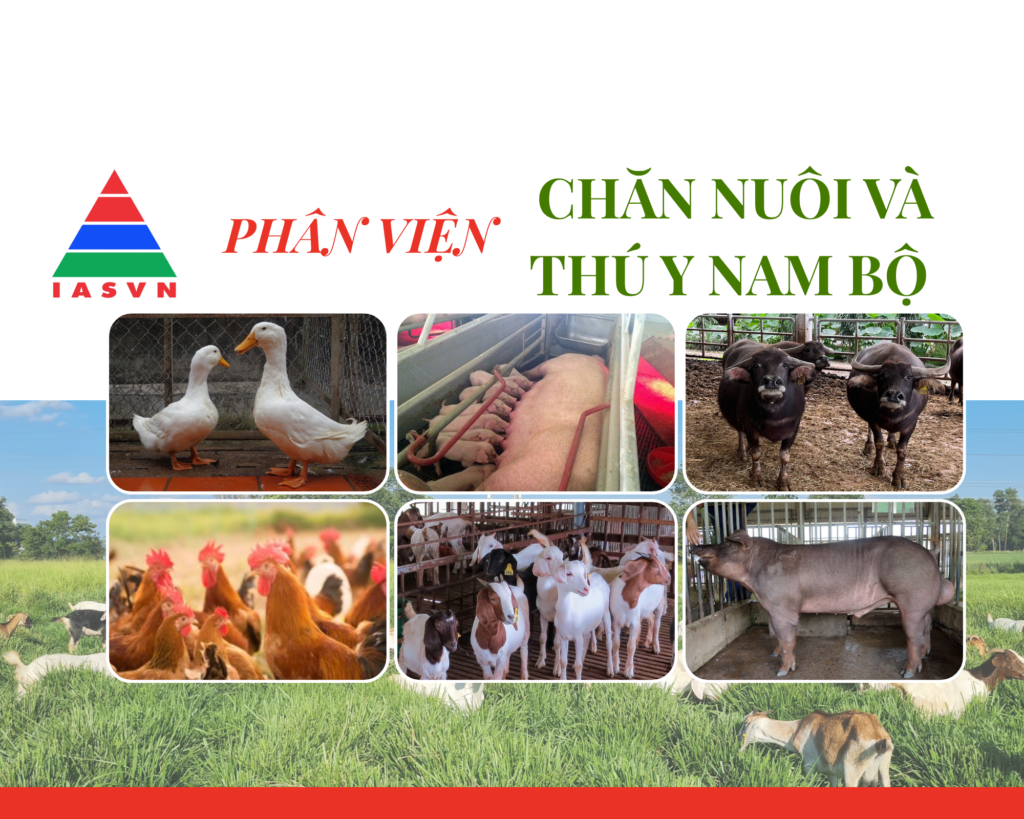 PHÂN VIỆN CHĂN NUÔI VÀ THÚ Y NAM BỘ IASVN